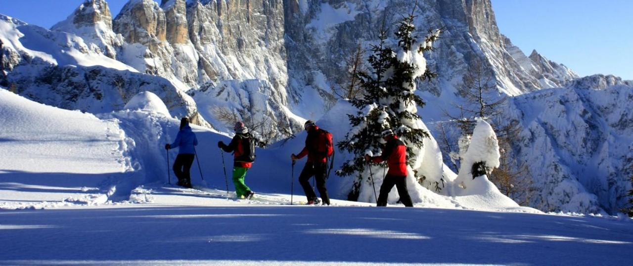 Petit Arnica Selva di Cadore Exterior foto